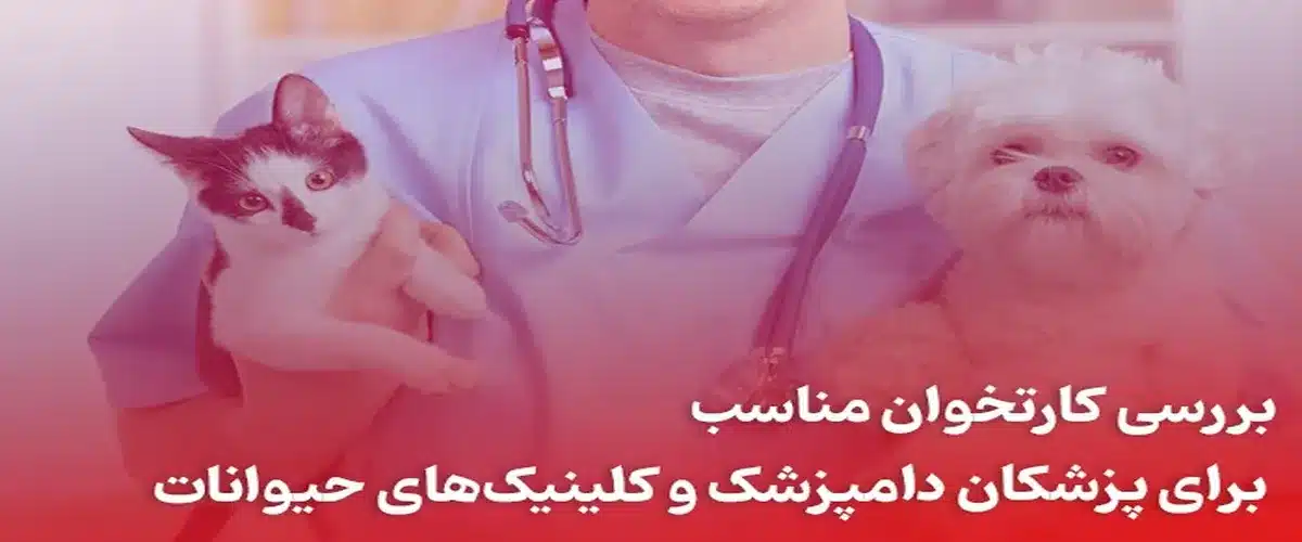 کارتخوان مناسب برای دامپزشکان و کلینیک‌های حیوانات | شاندِرمن